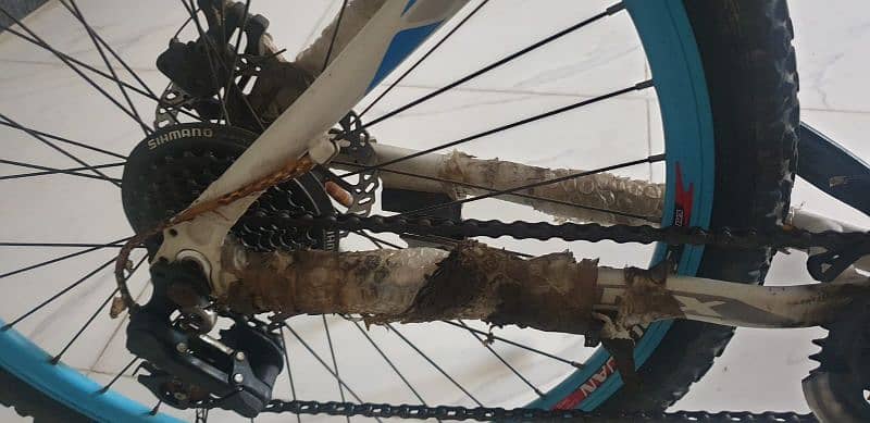 XMX cycle 24nch 4
