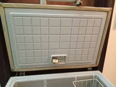 waves deep freezer