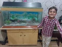 aquarium for sale