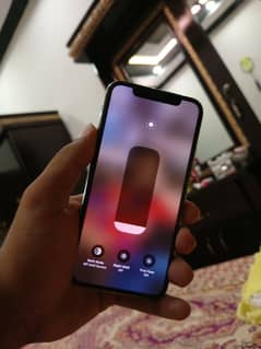 Apple iPhone X