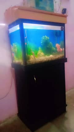 aquarium