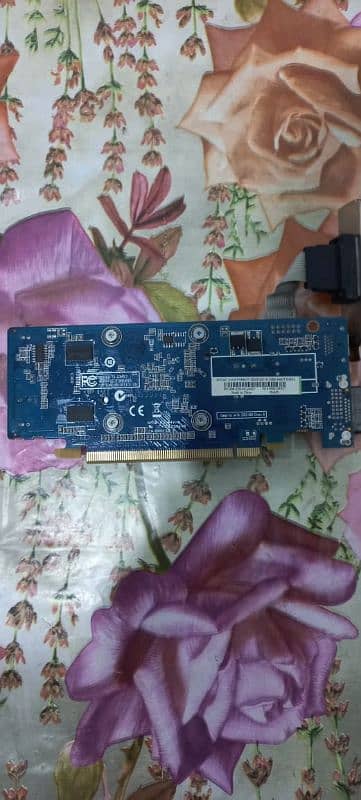 NVIDIA gt 210 1