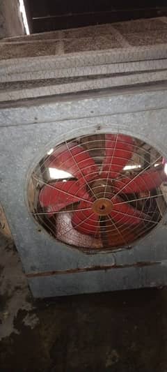 lahori colar