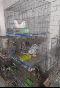 tower cage for birds