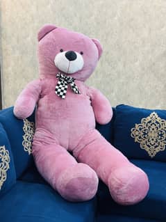 Teddy