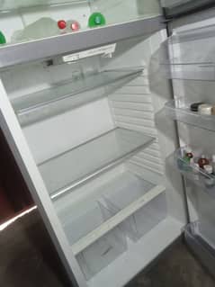 kelvinTor company fridge full size