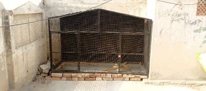 iron cage . full size 4 foot hight. . 8 foot chorai