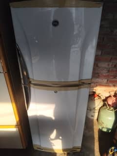 pel medium size fridge