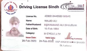 driveng ki zarorat ha