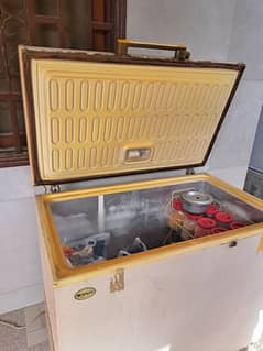 Used Freezer in Running condition