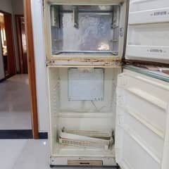 fridge and freezer