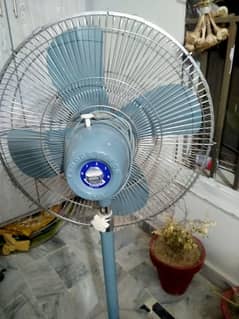 for sale
