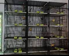 Strong iron 4 portion cages for love birds, Conures