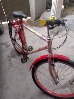phoenix Cycle Brand New