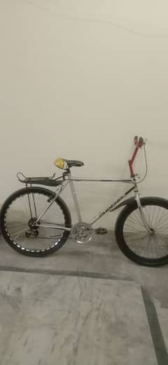 Phonix Bicycle