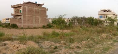 Plot