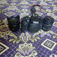 canon 800d