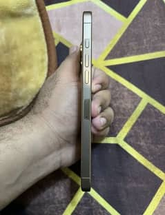 16pro