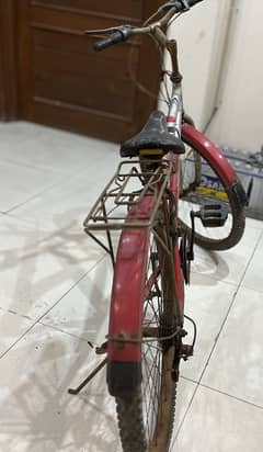 Super sport gears bicycle best for adult or adult child gear