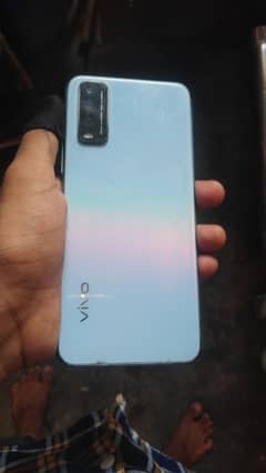 VIVO