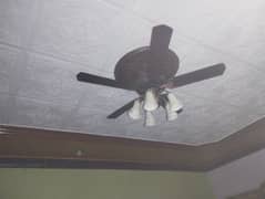 5 Blade ceiling Fan