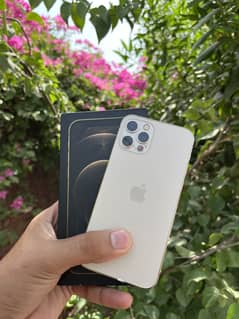 Iphone 12 pro dual pta approved