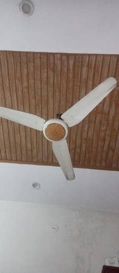 fan for sale