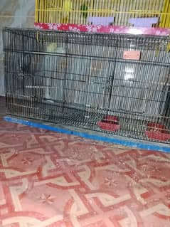 cage bard cage for sale