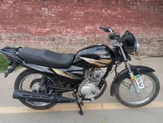 Yamaha YBZ 125 Model 2019(Good Condition)