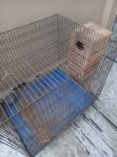 Big cage for parrots with nesting box