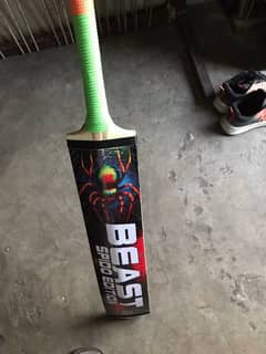 beast bat