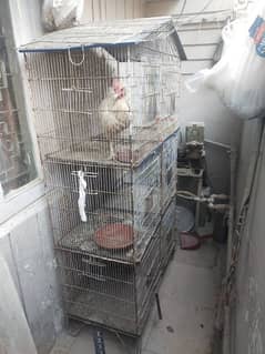 Hen Cage