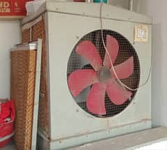 Room Air Cooler