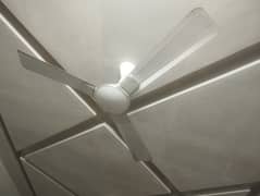 Ceiling fan