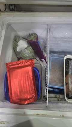 waves deep freezer