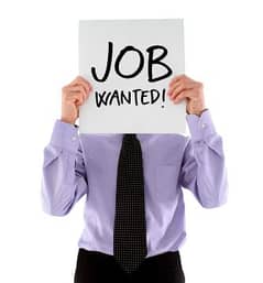 Typing / Data Entry / Tech Writing – CS Student Looking for Part-Time
