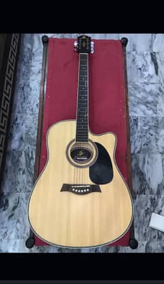 Semi Acoustic Guitar Complete Setup