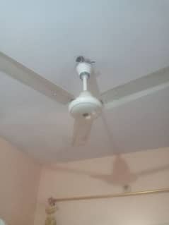 royal fan 50 watts energy saver model