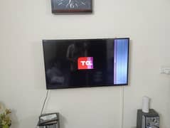 TCL 43" LCD TV