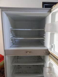Full Size fridge