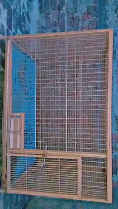 STEEL CAGE