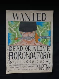 Anime , one piece