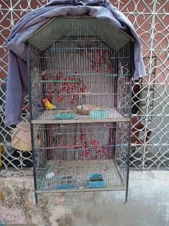 2 portion cage and lotino female