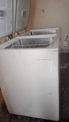 Pel Deep Freezer