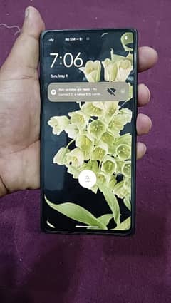 google pixel 6