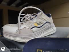 national geographic joggers