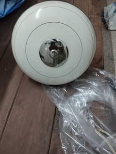 Royal ceiling fan