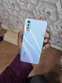 vivo