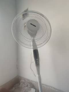 new fan