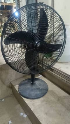 Copper Fan